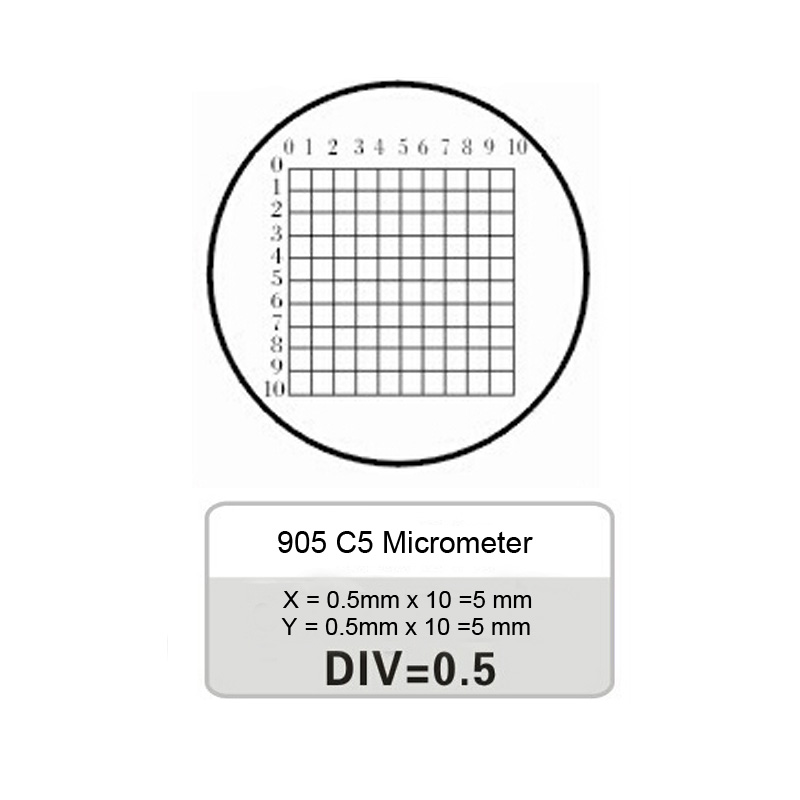 905 C5 DIV 0.5MM Grid Cell Value Scale Microscope Micrometer